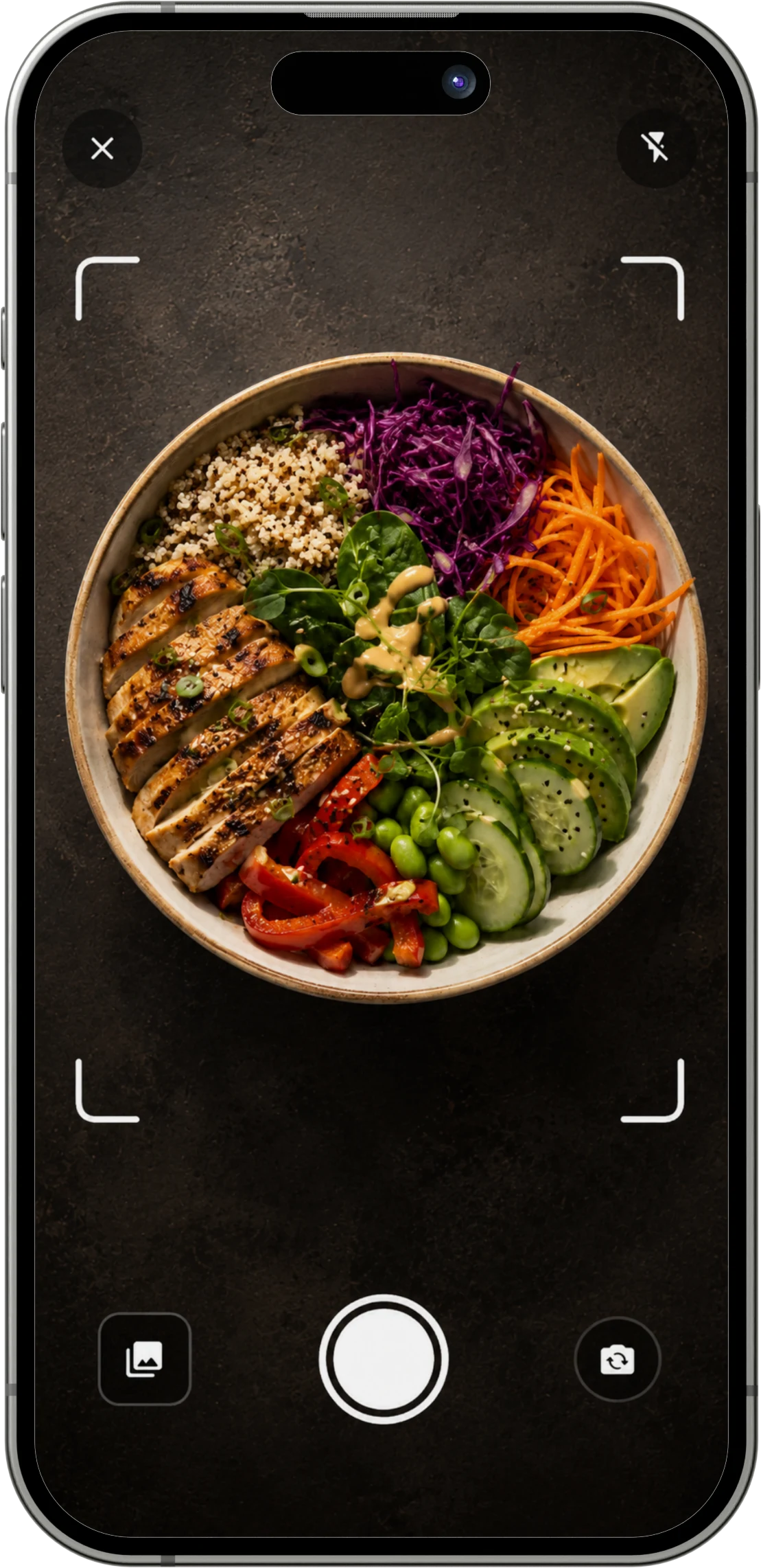 CalorieMeister Kamera mit einer Hähnchen-Reis-Bowl